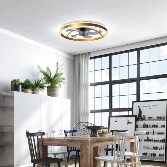 CeilingÂ Fan With Light