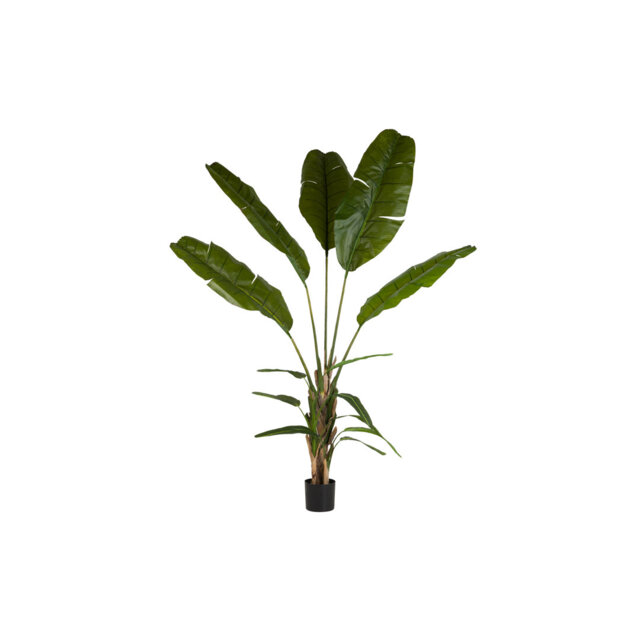 250cm Faux Banana Leaf Plant in Pot