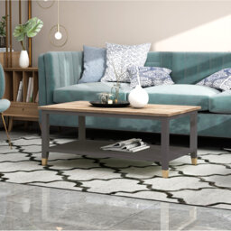 Athina Frame Coffee Table with Storage