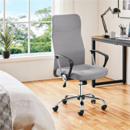 Ergonomic Desk Chair by Wayfair