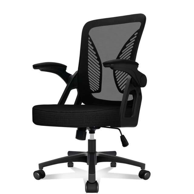 Office Chair Ergonomic Desk Chair with 90Â°Flip-up Armrest Lumbar Support, Height Adjustable Office Desk Chair, Executive Swivel Computer Chair with P
