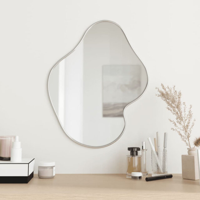 Alexeus Novelty Plastic Framed Wall Mounted Accent Mirror in Silver