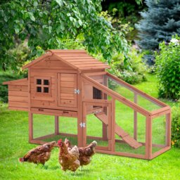 Corbitt Chicken Coop with Chicken Run For Up To 4 Chickens