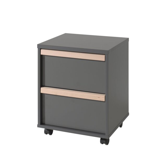 London 48.1cm Wide 2 -Drawer Mobile File Cabinet