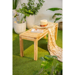 Witherspoon Solid Wood Teak Outdoor Bench
