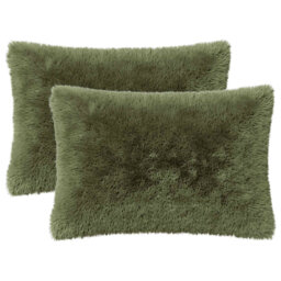 Cushion
