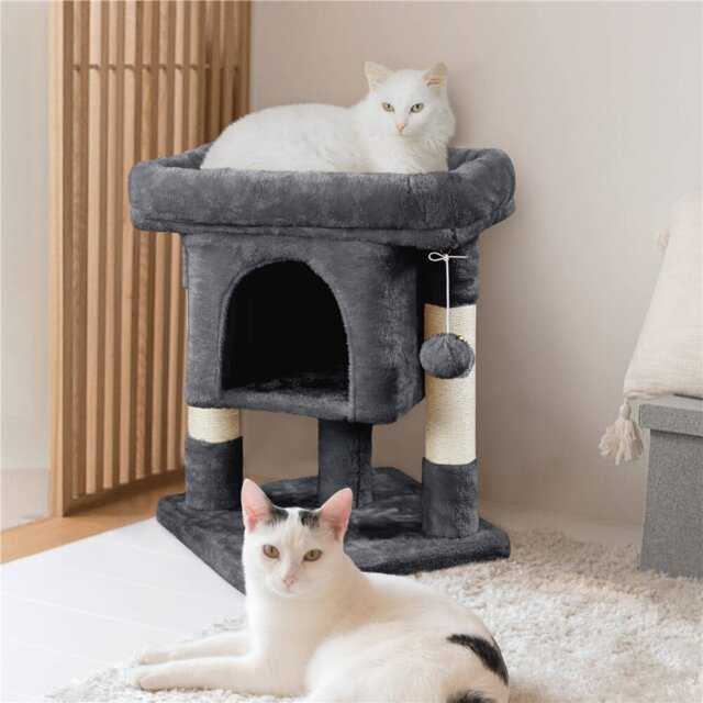 color 59cm Cat Tree