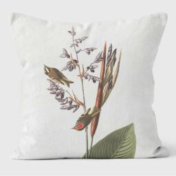 American Golden Crested Wren Birds of America Cushions
