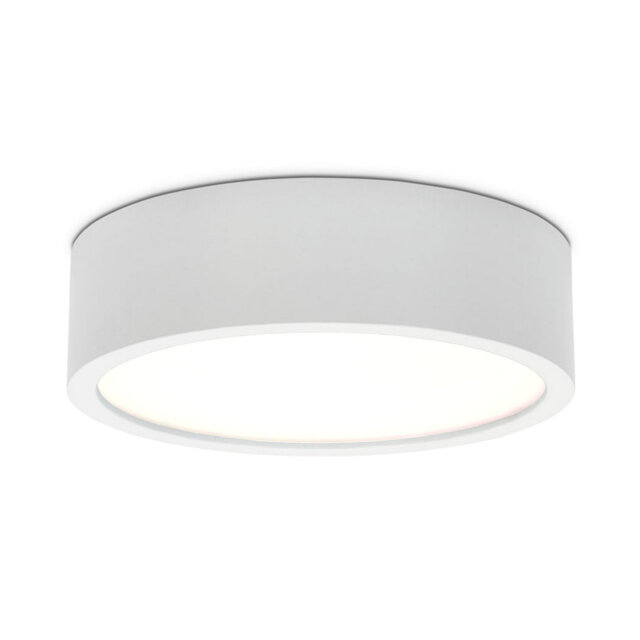 Altavious Flush Mount
