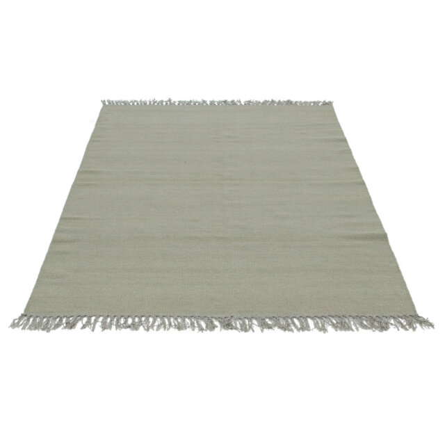 Cedartown Ubique Handwoven Wool Light Green Rug