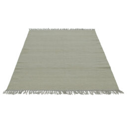 Cedartown Ubique Handwoven Wool Light Green Rug