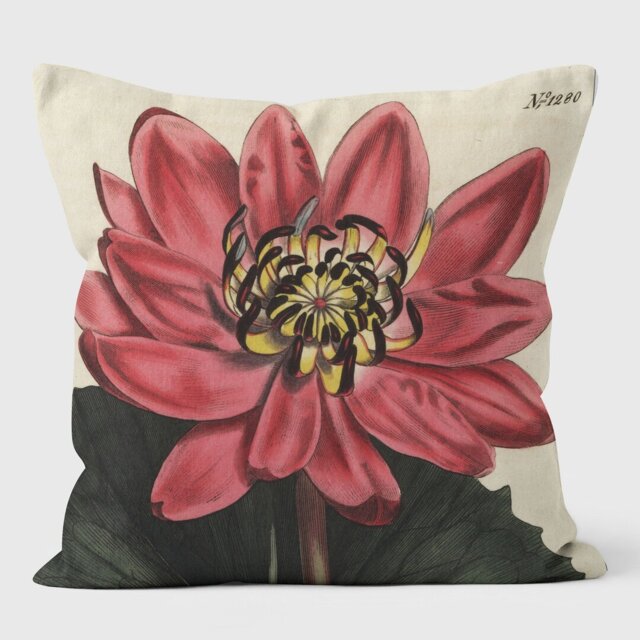 Red Flowered Water Lily - Botanical Cushion