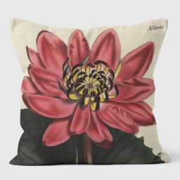 Red Flowered Water Lily - Botanical Cushion