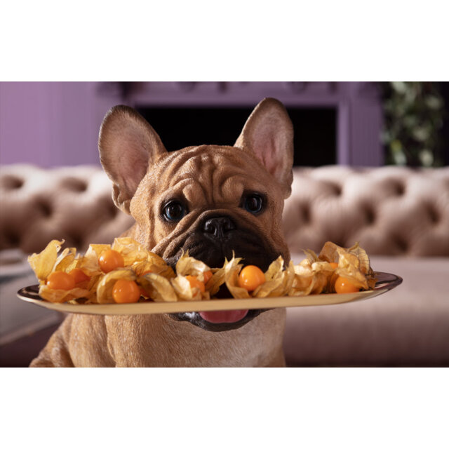 Butler Frenchy Decorative 40cm Figurine