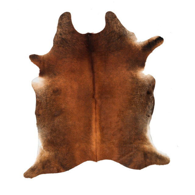 "Sawbridgeworth One-of-a-Kind 5'4"" x 6'6"" Area Rug in Brown"