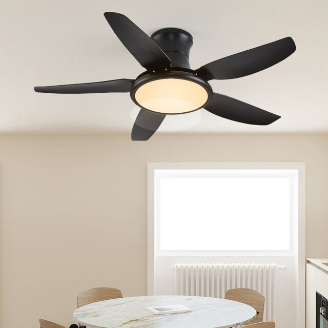 Ceiling fan