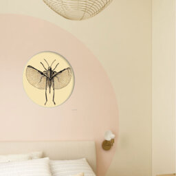 Cotto Wall Clock
