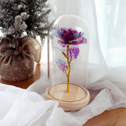 Cloche Or Water Globe