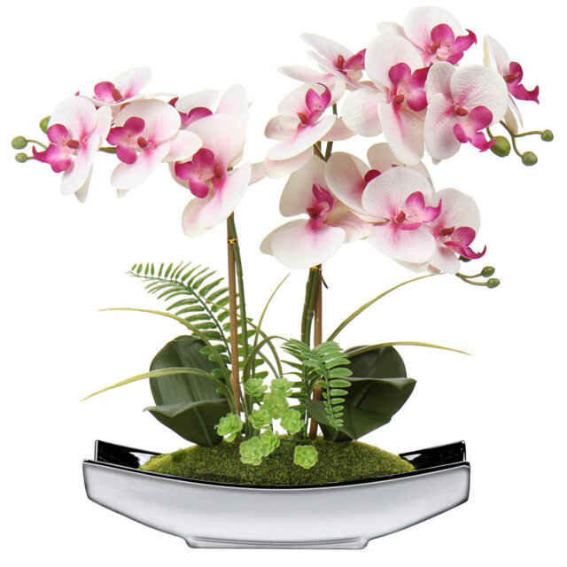 Runck Arrangement