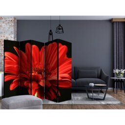 Ignatius 5 Panel Room Divider