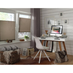 Semi Sheer Pleated shade
