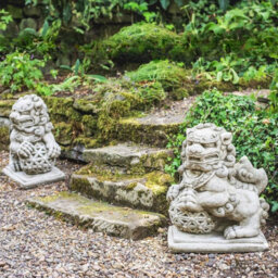 Stone Cast Pair of Giant Foo Dogs Garden Statue