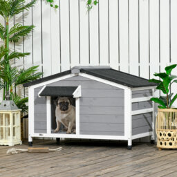 Dog Kennel House