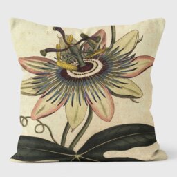 Common Passionflower - Botanical Cushion