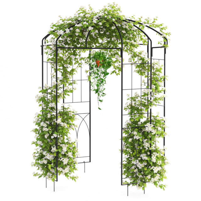 Birdcage Shape Garden Arch Trellises, 270x200x200cm Black Steel Garden Arbor Pergola Pavilion for Climbing Plants, Wedding Ceremony & Patio Backyard D