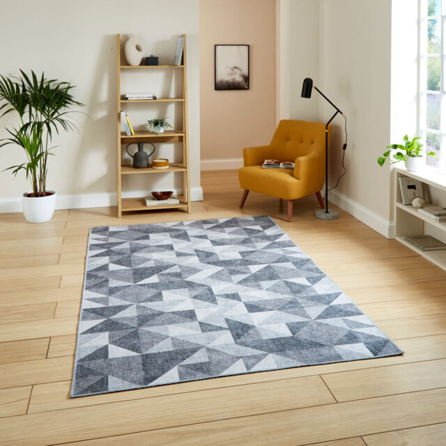 Zaid Machine Woven Grey Area Rug
