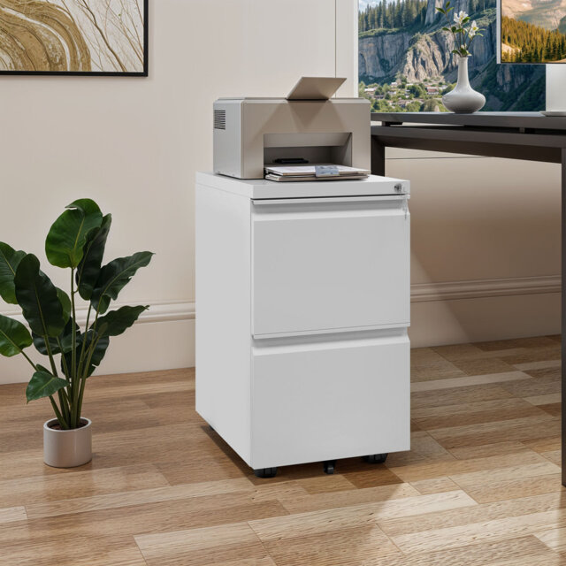 2 Drawer Filing Cabinet