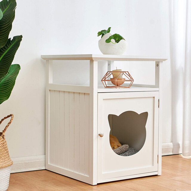 Templeton 64cm H Cat Tree