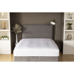 Plain Dye 540 TC Egyptian-Quality Cotton Sateen Fitted Sheet
