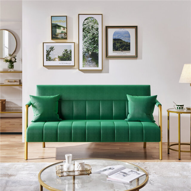 Color 2 Seater Loveseat ,143 CM wide Sofa Couch