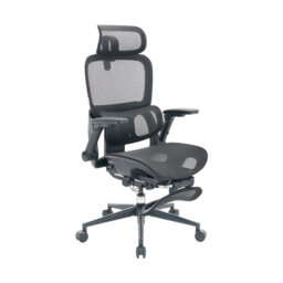 B300 Ergonomic Office Chair, with Armrest, and Dual Ajustable lumbar support