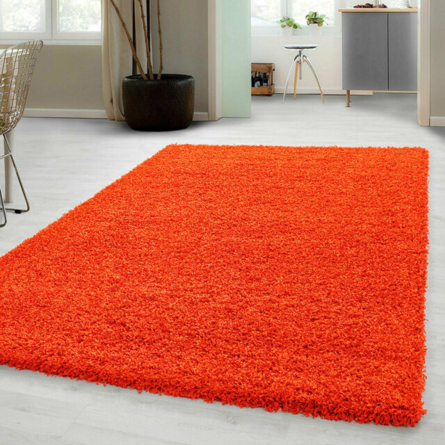 Aanuoluwa Orange Indoor / Outdoor Rug