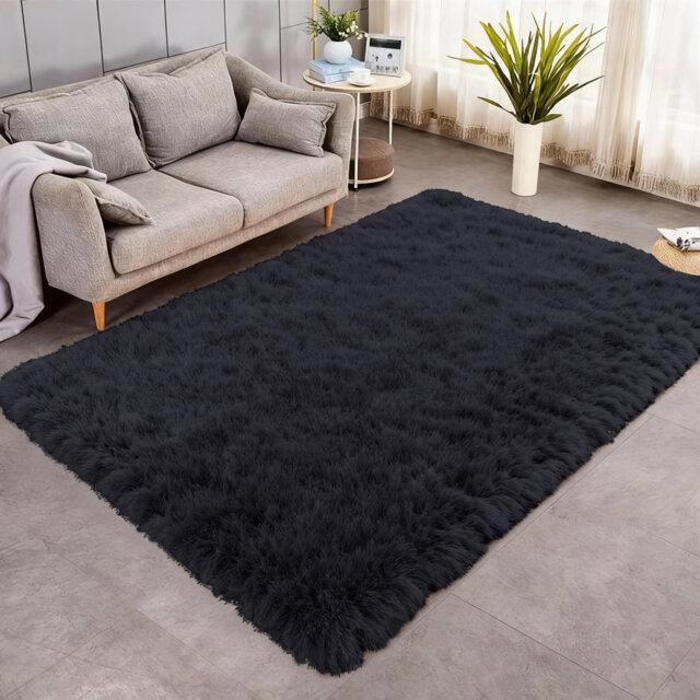 Indoor / Outdoor Living Room Area Rug