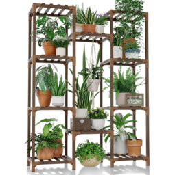 Plant Stand