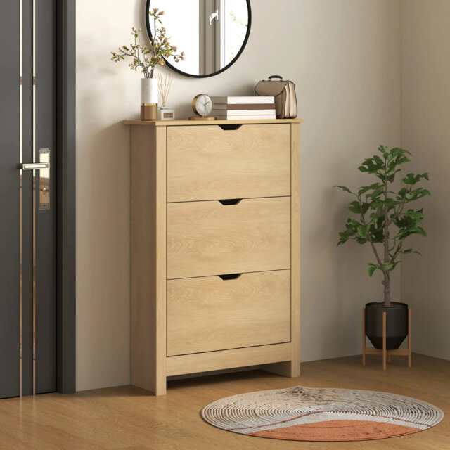 Slim Shoe Cabinet, Narrow Shoe Cupboard With 3 Drawers, Adjustable Shelves For 18 Pairs Of Shoes