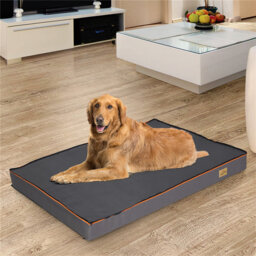 Orthopedic Dog Bed