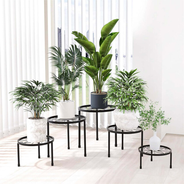 Plant Stand - Set of 5