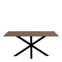 Metal Base Dining Table