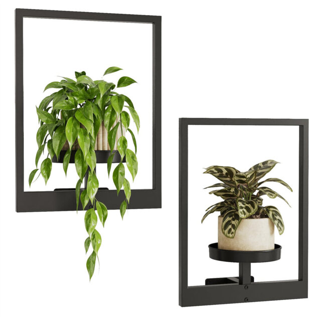 Plant Stand Indoor Wall Decor Metal Plant Hanger Indoor Hanging Plant Holder Wall-Mounted Planters Outdoor Plant Rack