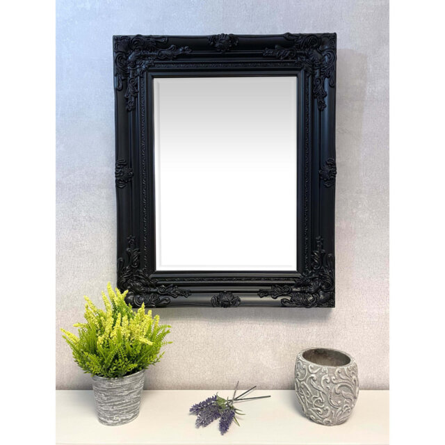Jiminez Lightweight Hardwood Rectangle Mirror