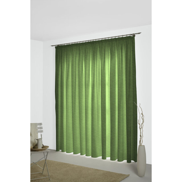 Breedlove Pencil Pleat Room Darkening Curtain