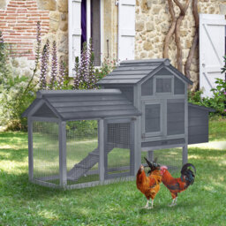 Pattie Chicken Coop