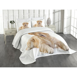 Adhamh White/Brown Microfibre Bedspread Set