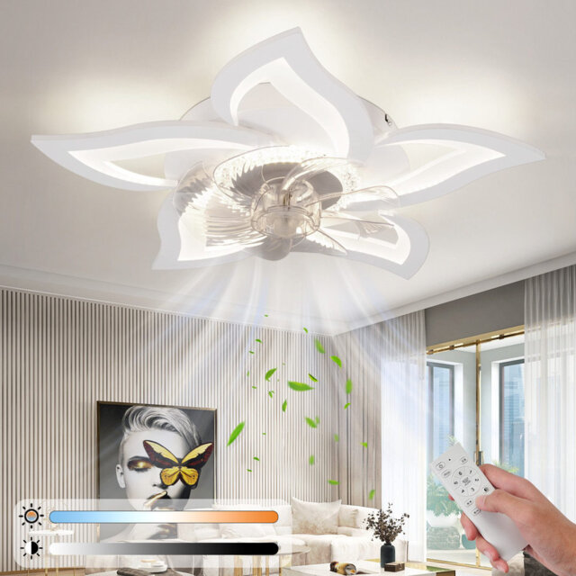 Ceiling fan with lighting and remote control, quiet - LED ceiling lamp, dimmable fan, timing ceiling light, creative 6 lights design living room fan,