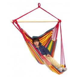 Gariepy Hanging Chair