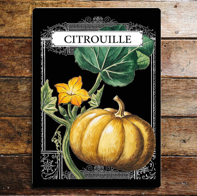 Garden Seeds Citrouille Pumpkin Kitchen Metal Wall Décor